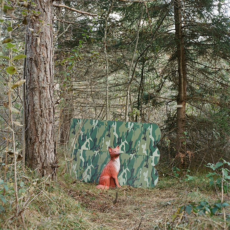 © Sofia Tatarinova - Image from the Magic forest photography project