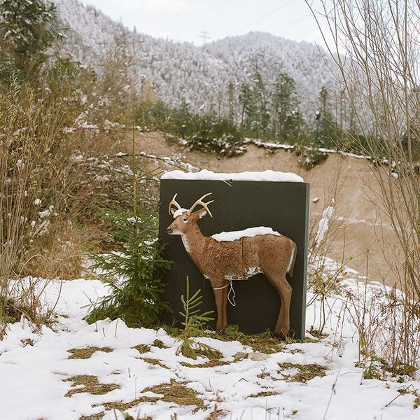 © Sofia Tatarinova - Image from the Magic forest photography project