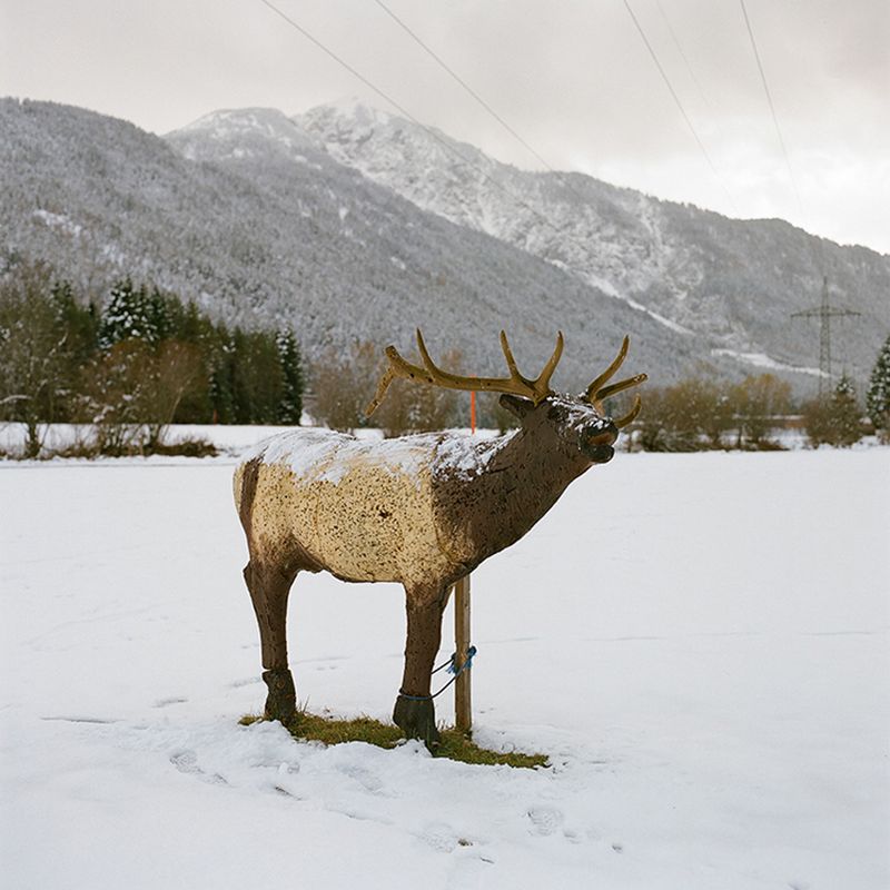 © Sofia Tatarinova - Image from the Magic forest photography project