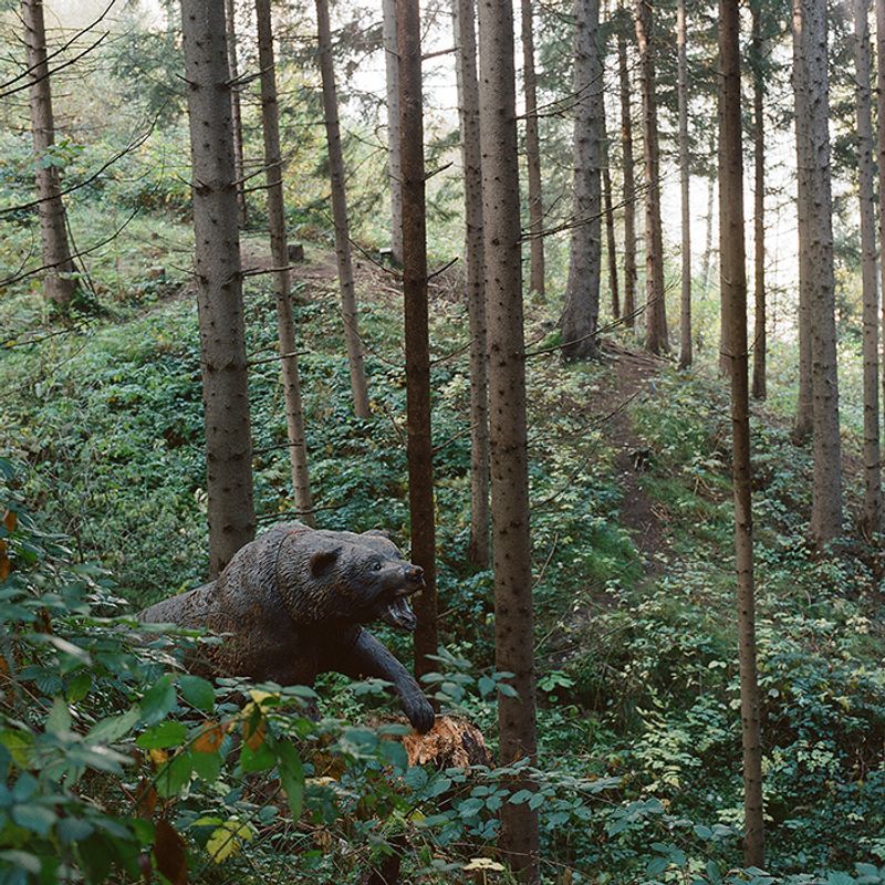 © Sofia Tatarinova - Image from the Magic forest photography project