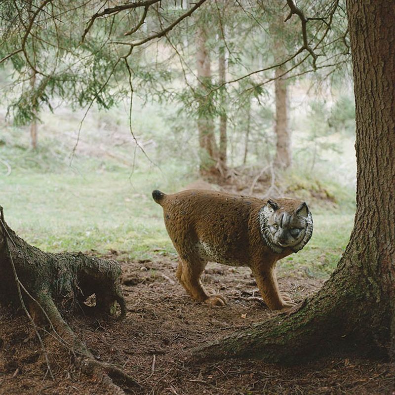 © Sofia Tatarinova - Image from the Magic forest photography project
