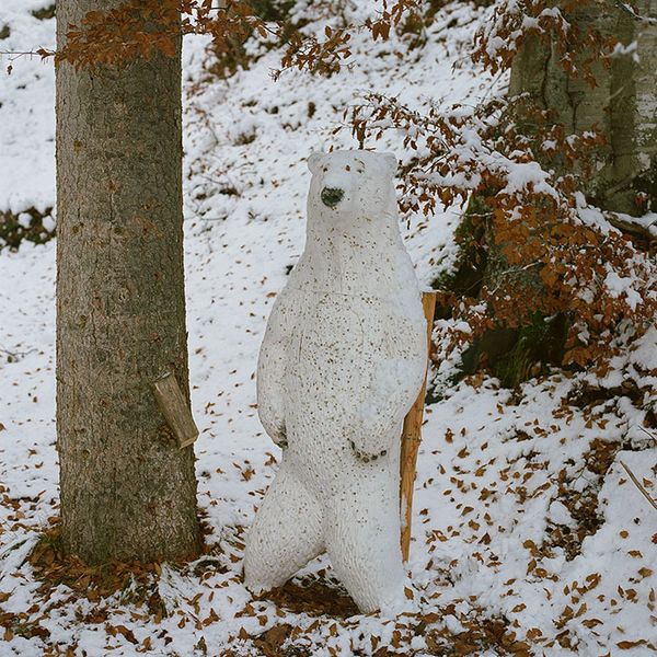 © Sofia Tatarinova - Image from the Magic forest photography project