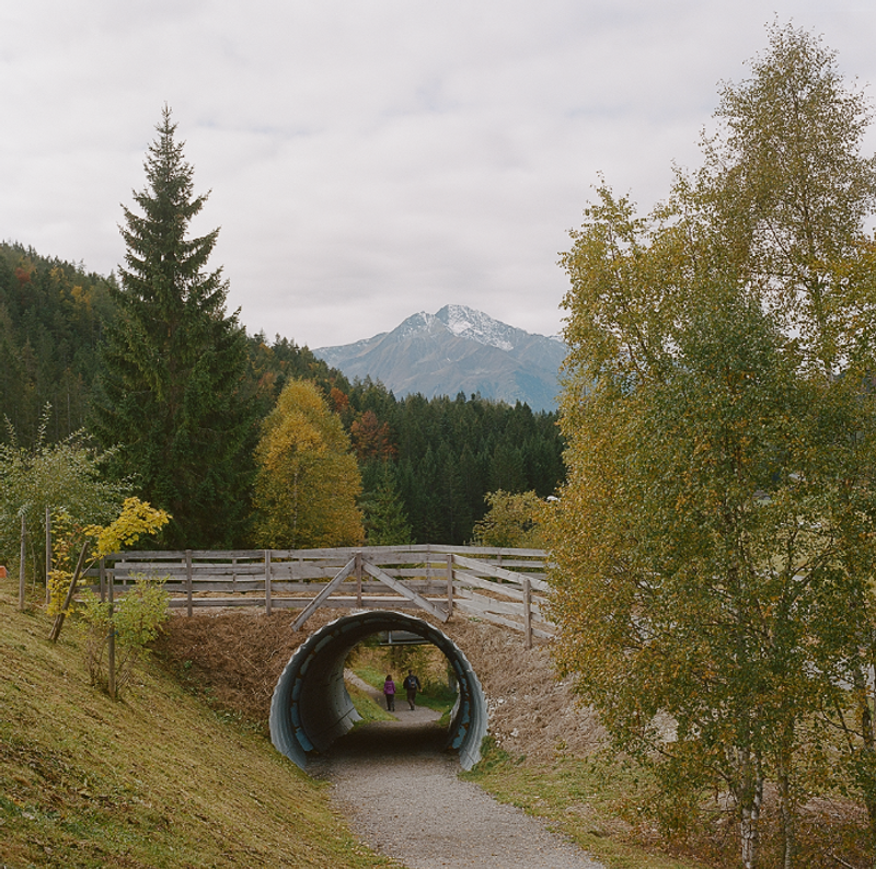 © Sofia Tatarinova - Image from the The Artificial Landscape photography project