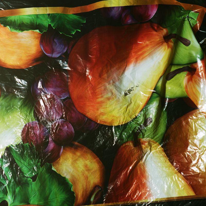 © Sofia Tatarinova - Image from the "Plastic bags" photography project