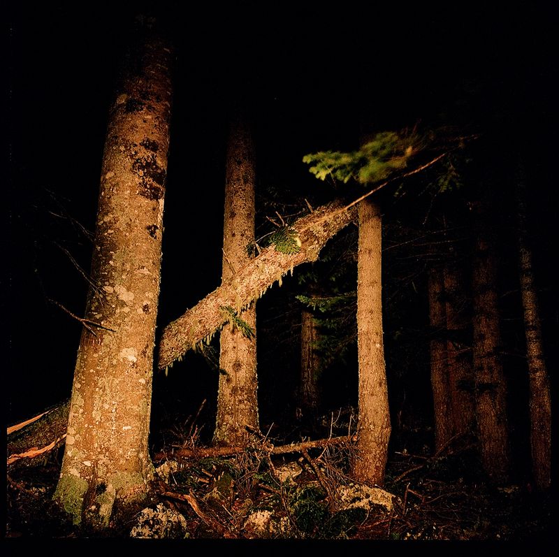 © Sofia Tatarinova - Image from the Night fairy tales photography project