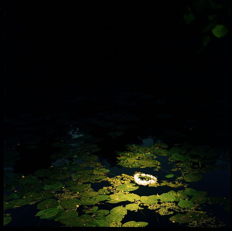 © Sofia Tatarinova - Image from the Night fairy tales photography project