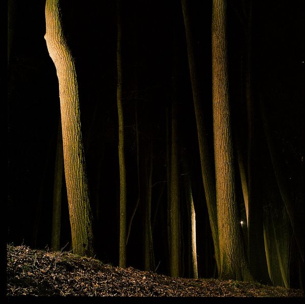 © Sofia Tatarinova - Image from the Night fairy tales photography project