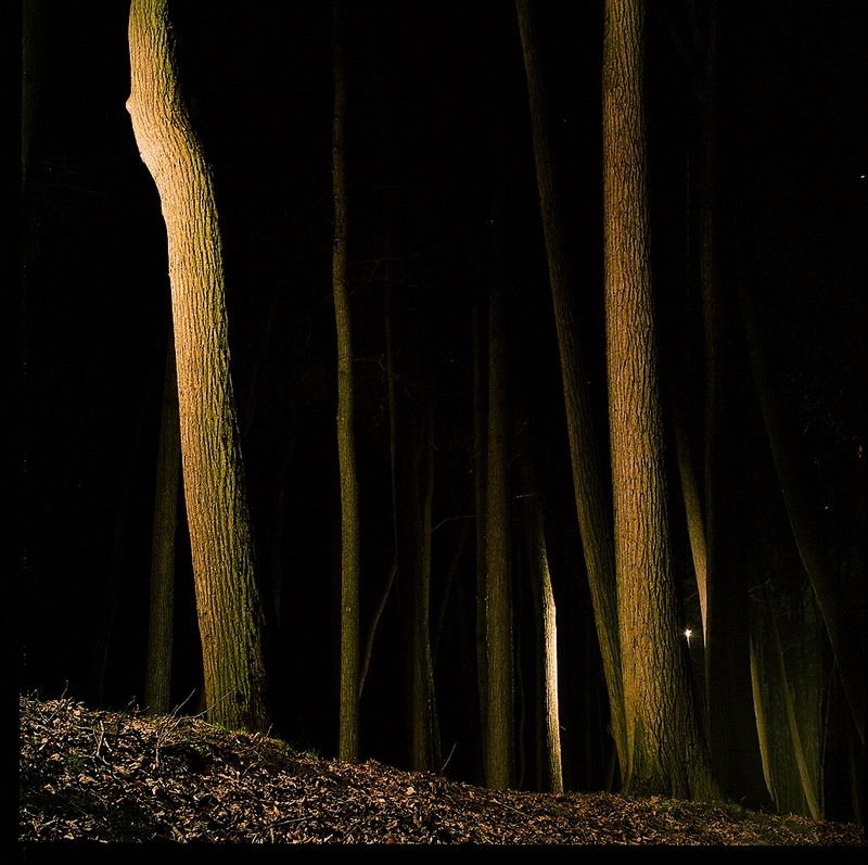 © Sofia Tatarinova - Image from the Night fairy tales photography project