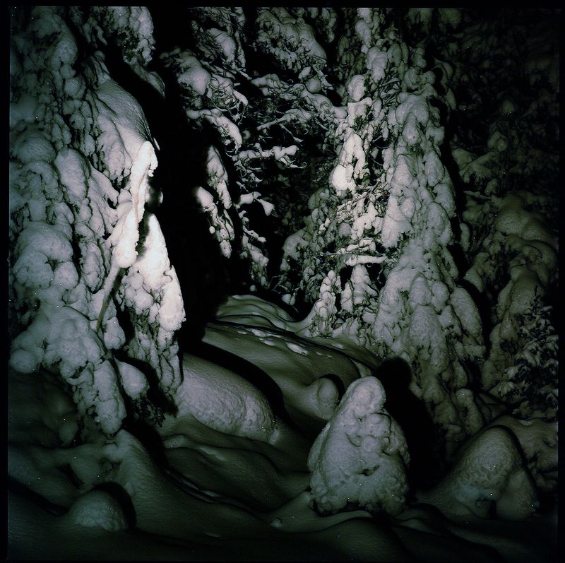 © Sofia Tatarinova - Image from the Night fairy tales photography project