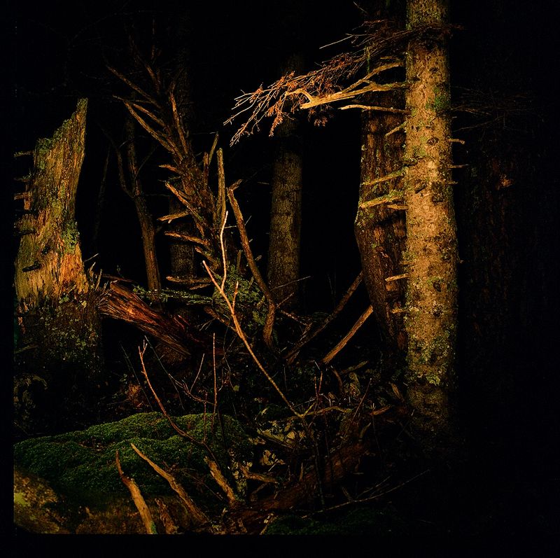 © Sofia Tatarinova - Image from the Night fairy tales photography project