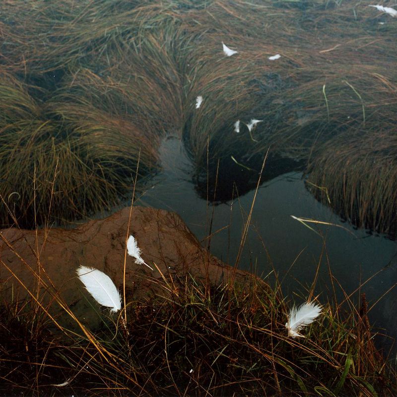© Sofia Tatarinova - Image from the Night fairy tales photography project