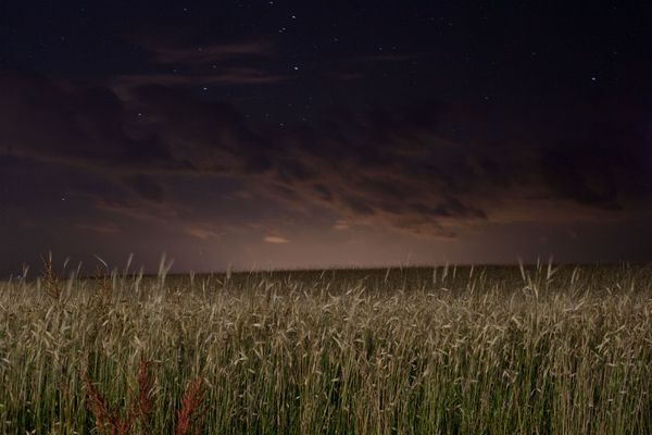 © Sofia Tatarinova - Image from the The missing image photography project