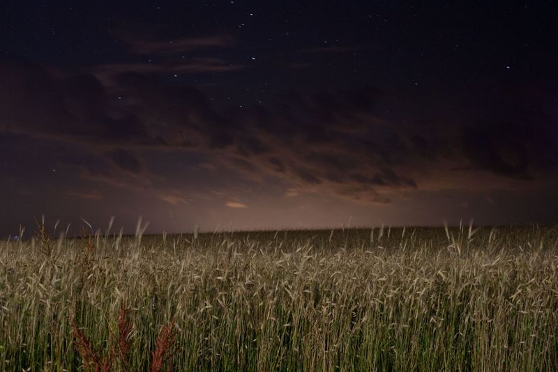 © Sofia Tatarinova - Image from the The missing image photography project