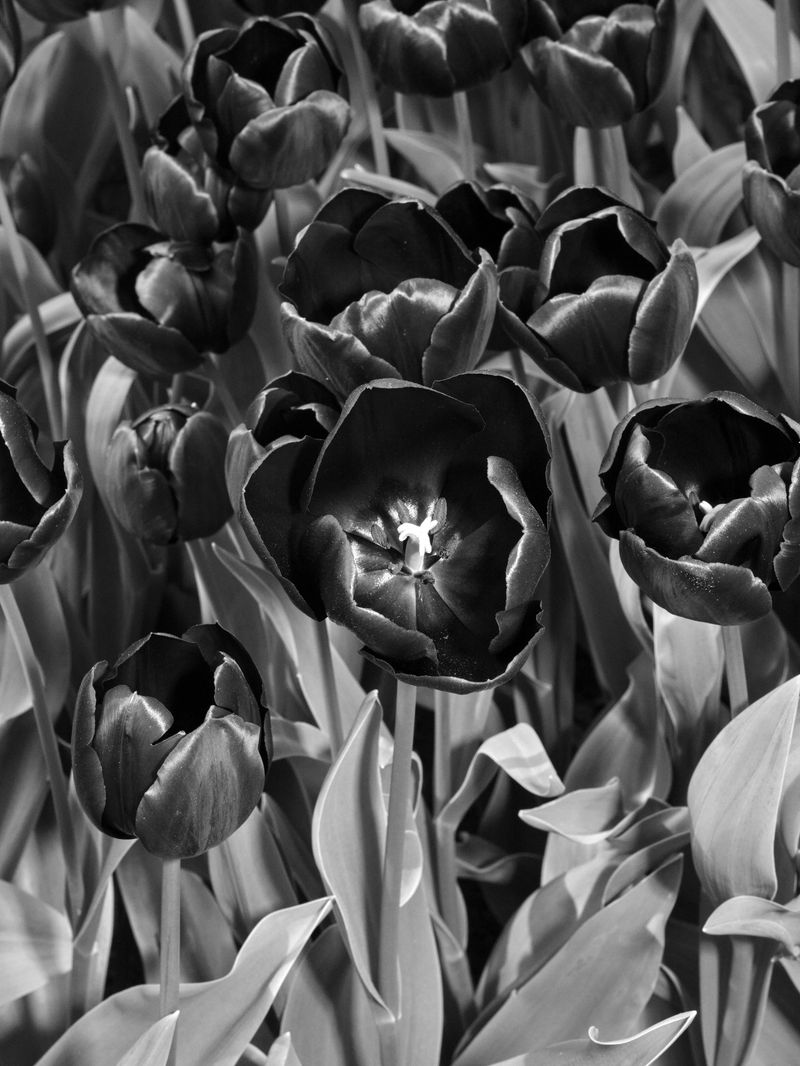 © Ganslmeier & Zibelnik - Image from the Bereitschaft photography project