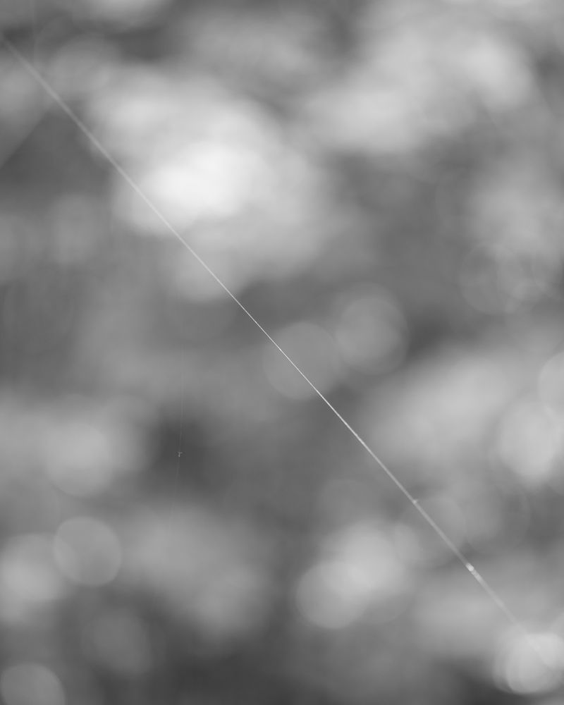 © Patrick Suhm - Image from the 236/1000/∞ photography project