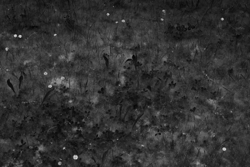 © Patrick Suhm - Image from the 236/1000/∞ photography project