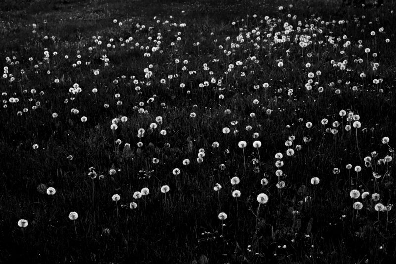 © Patrick Suhm - Image from the 236/1000/∞ photography project