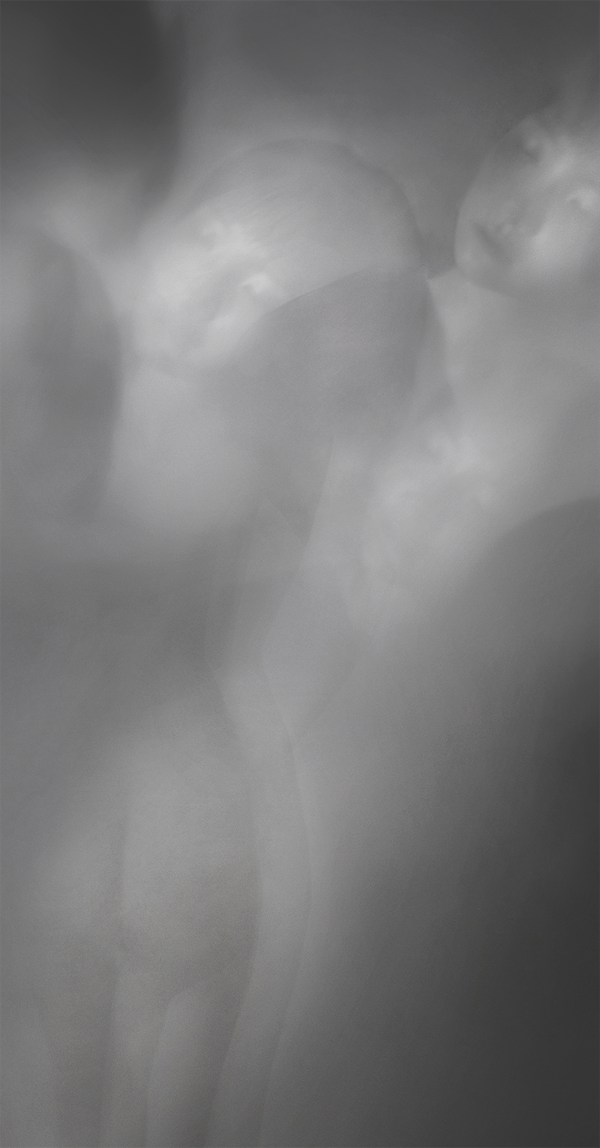 © Dung Tran (D) - Image from the nguyên & nguyên photography project