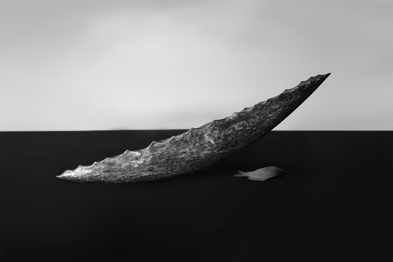 © Dung Tran (D) - the receding sea