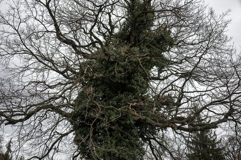 © Paweł Piotrowski - Image from the Good, Better... photography project