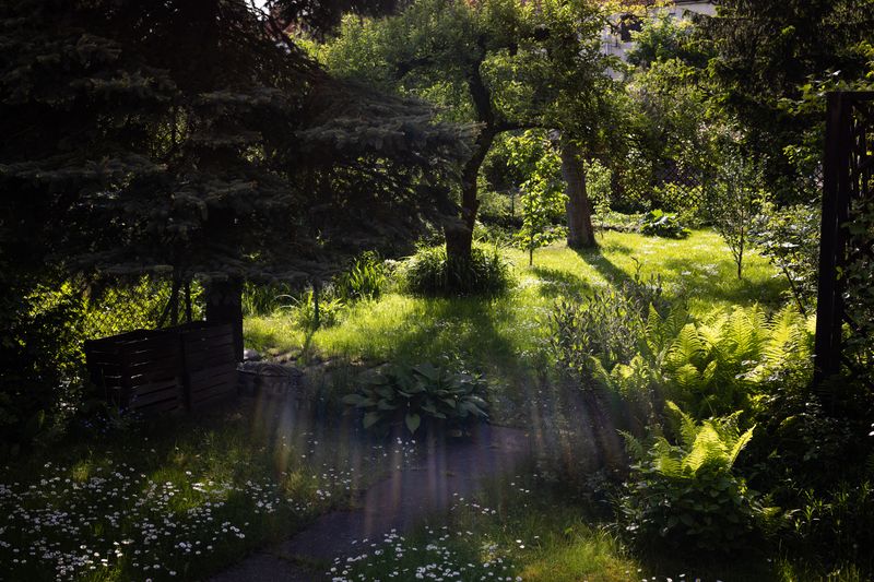 © Paweł Piotrowski - Image from the Good, Better... photography project