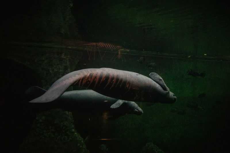 © Paweł Piotrowski - Image from the Good, Better... photography project