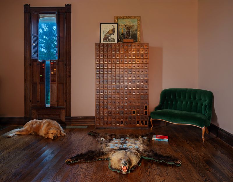 © Sarah  Malakoff - Bear Rug