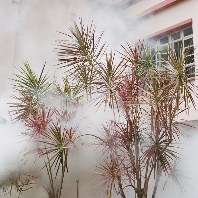 © Kathy Anne Lim - Image from the White Noise photography project