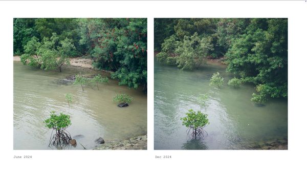 © Kathy Anne Lim - Image from the Echoes Of A Solstice photography project