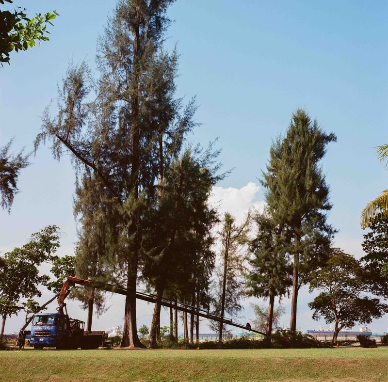 © Kathy Anne Lim - Image from the Echoes of a Solstice photography project