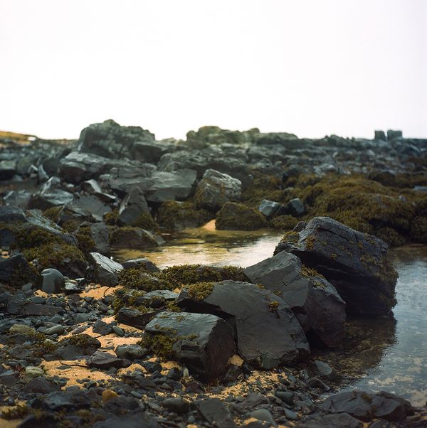 © Kathy Anne Lim - Ytri Tunga; Iceland, 2018.