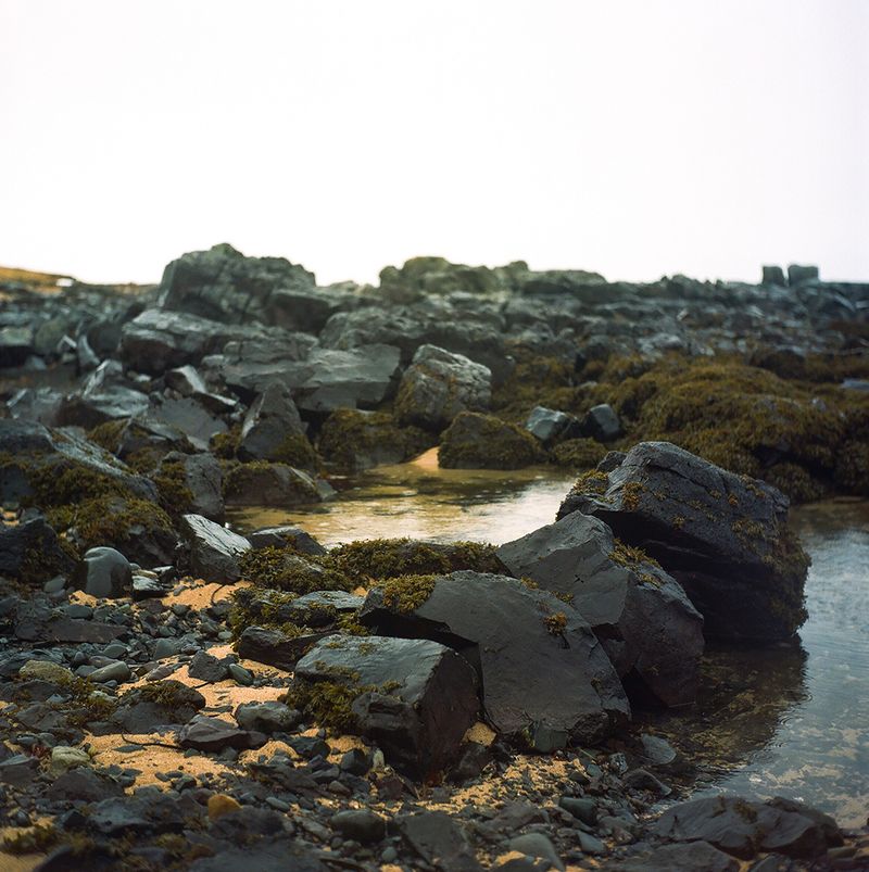 © Kathy Anne Lim - Ytri Tunga; Iceland, 2018.