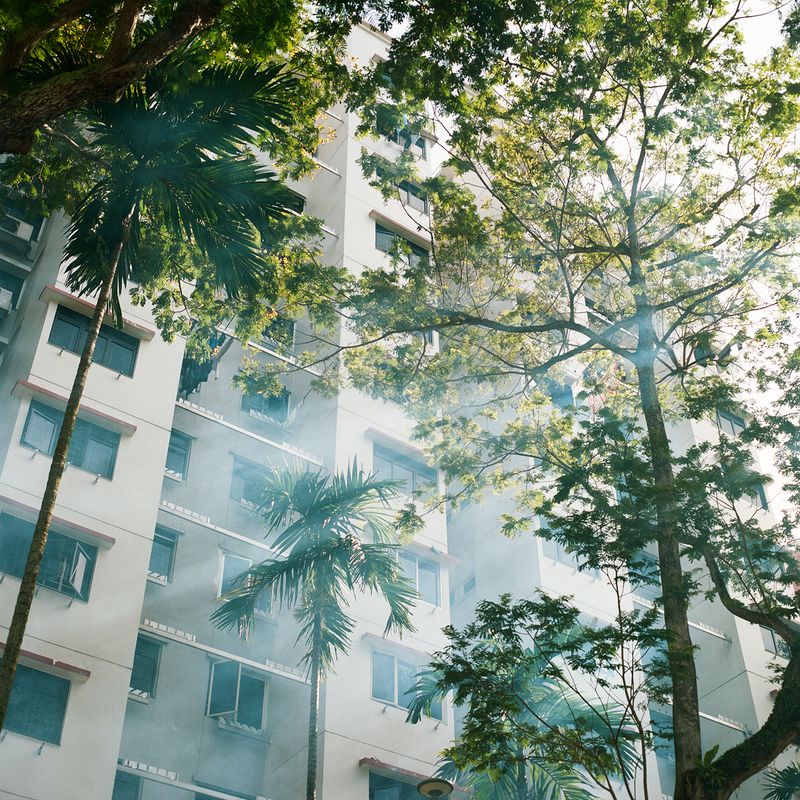 © Kathy Anne Lim - Footnote, Singapore 2020