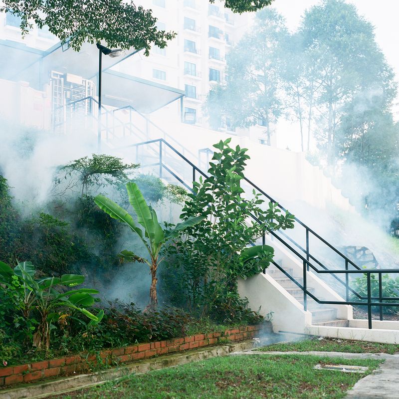 © Kathy Anne Lim - Ascendant, Singapore 2020