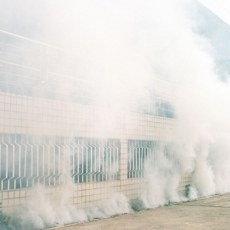 © Kathy Anne Lim - Plumes, Singapore 2020