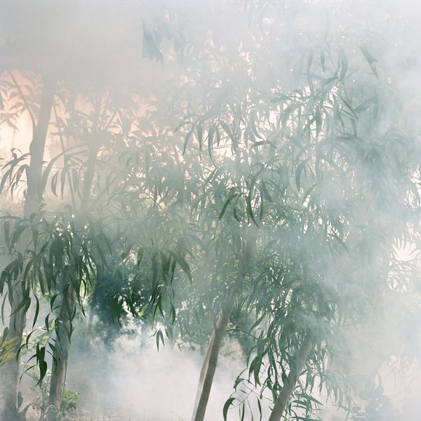 © Kathy Anne Lim - Mist Permeating, Singapore 2020