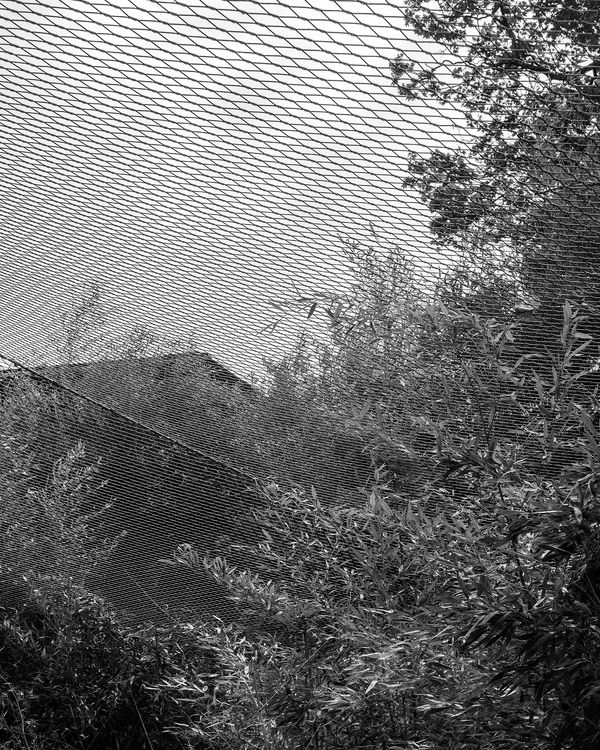 © Ligia Popławska - Image from the Fading Senses photography project