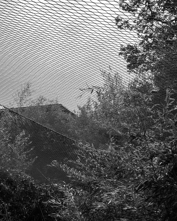 © Ligia Popławska - Image from the Fading Senses photography project