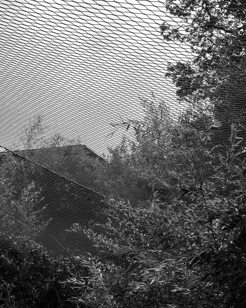 © Ligia Popławska - Image from the Fading Senses photography project