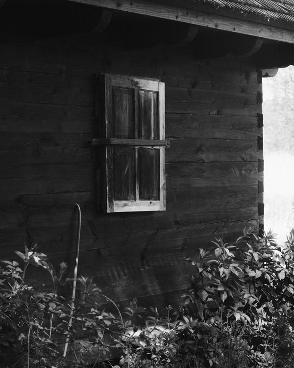 © Ligia Popławska - Image from the Whispers of the Primeval Forest photography project