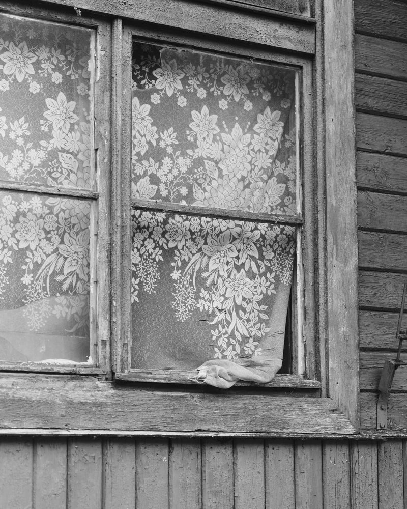 © Ligia Popławska - Image from the Whispers of the Primeval Forest photography project