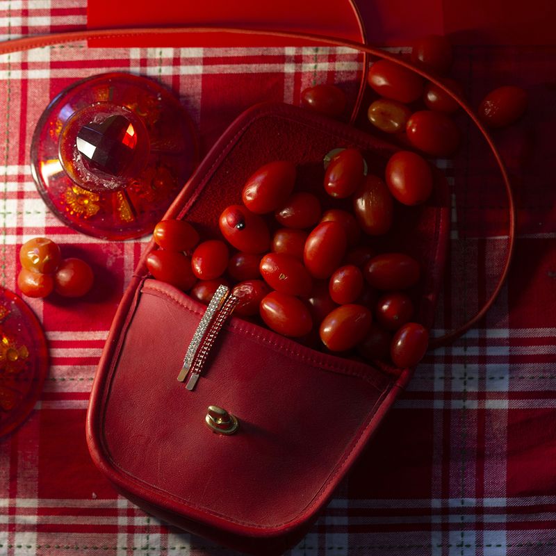 © Sunny Strader - Image from the Edible Trip to Innerspace photography project