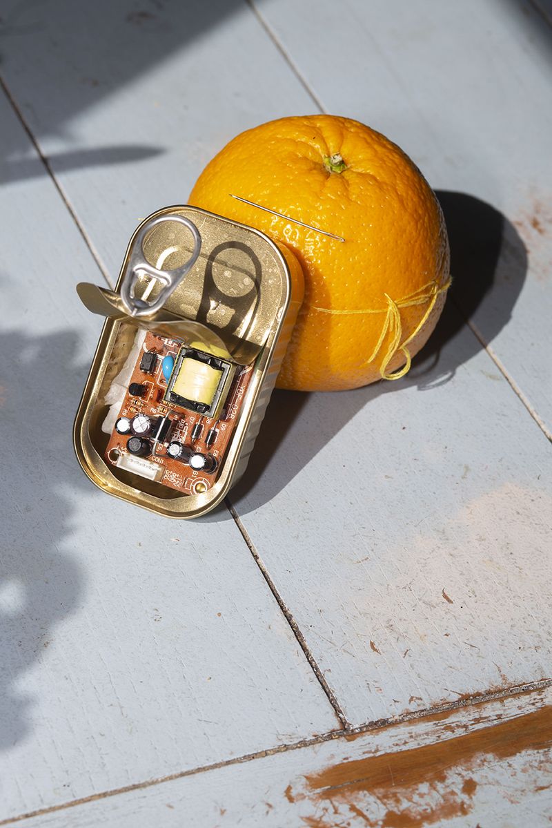 © Sunny Strader - Image from the Edible Trip to Innerspace photography project