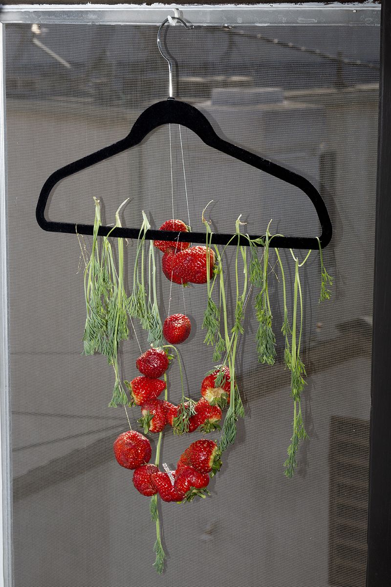 © Sunny Strader - Image from the Edible Trip to Innerspace photography project