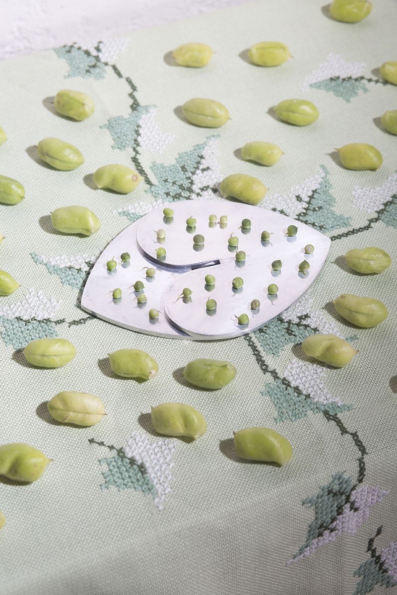 © Sunny Strader - Image from the Edible Trip to Innerspace photography project
