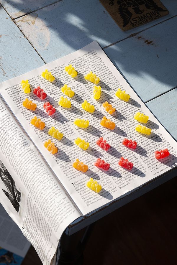 © Sunny Strader - Image from the Edible Trip to Innerspace photography project