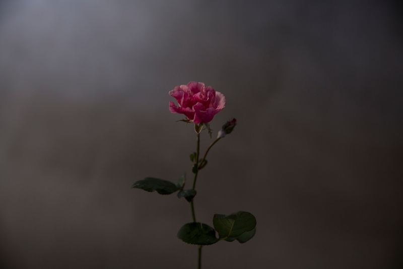 © Catalina Calvo Doval - Image from the poetry in daily life photography project