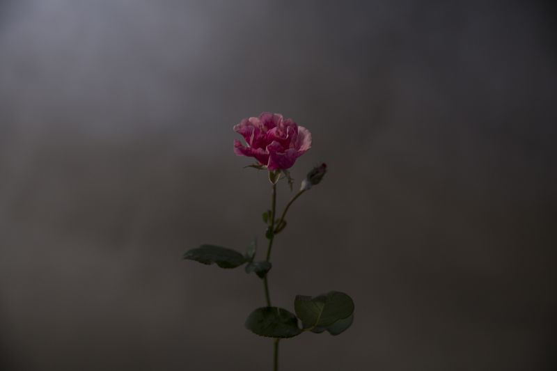 © Catalina Calvo Doval - Image from the poetry in daily life photography project