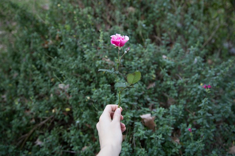 © Catalina Calvo Doval - Image from the poetry in daily life photography project