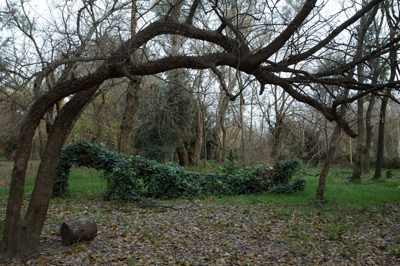 © Catalina Calvo Doval - Image from the poetry in daily life photography project